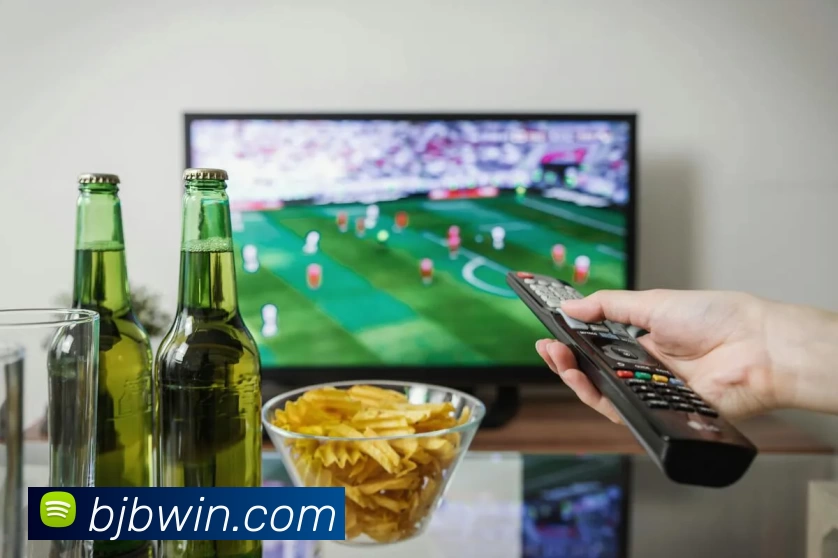 多媒体互动体验